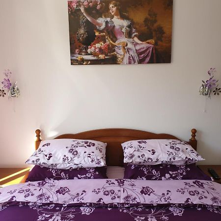 Sophie Apartament Apartman Sinaia Kültér fotó