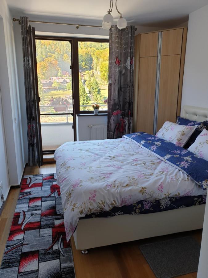 Sophie Apartament Apartman Sinaia Kültér fotó