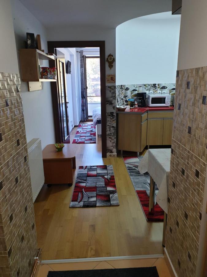 Sophie Apartament Apartman Sinaia Kültér fotó