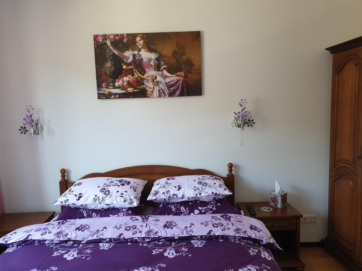 Sophie Apartament Apartman Sinaia Kültér fotó