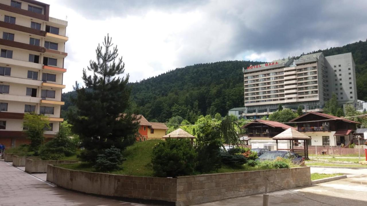 Sophie Apartament Apartman Sinaia Kültér fotó