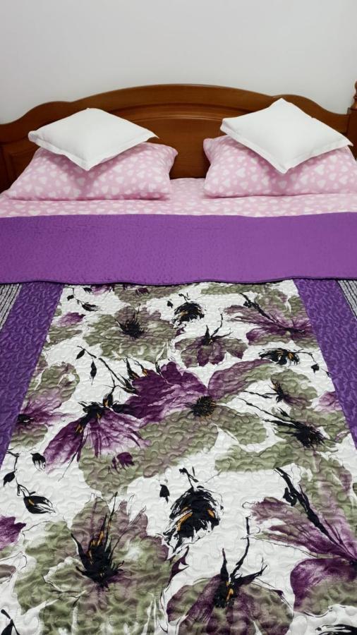Sophie Apartament Apartman Sinaia Kültér fotó