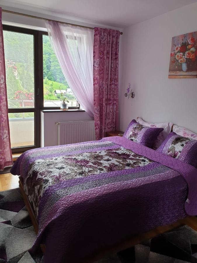 Sophie Apartament Apartman Sinaia Kültér fotó
