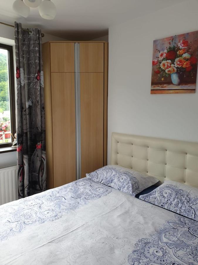 Sophie Apartament Apartman Sinaia Kültér fotó