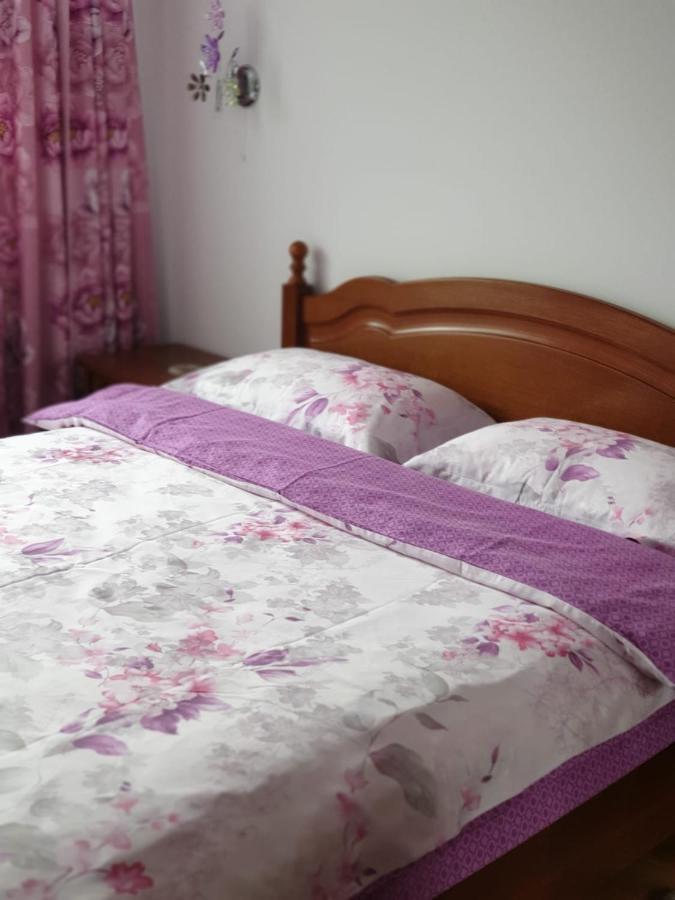 Sophie Apartament Apartman Sinaia Kültér fotó
