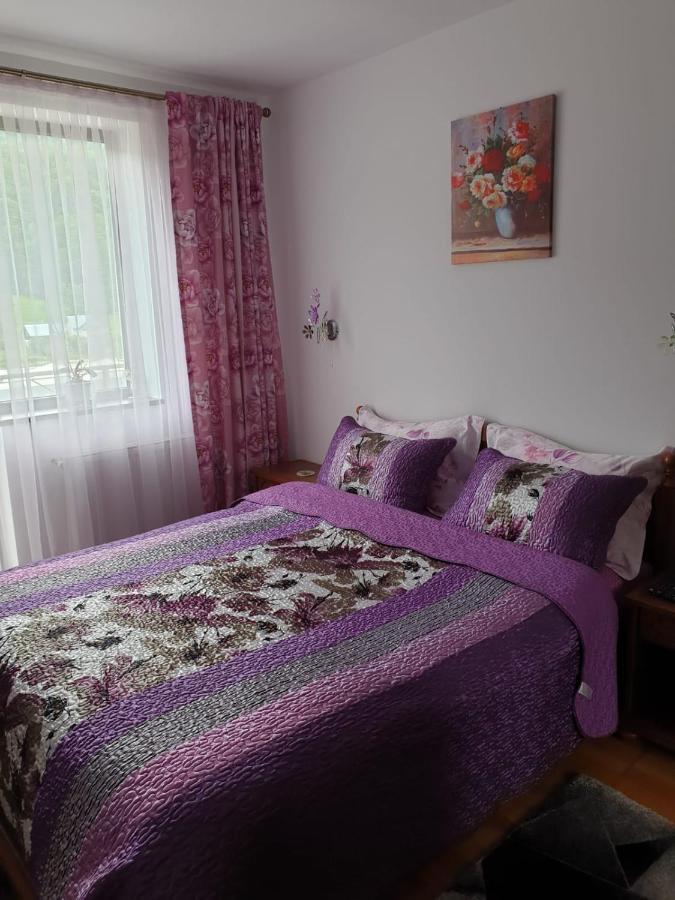 Sophie Apartament Apartman Sinaia Kültér fotó