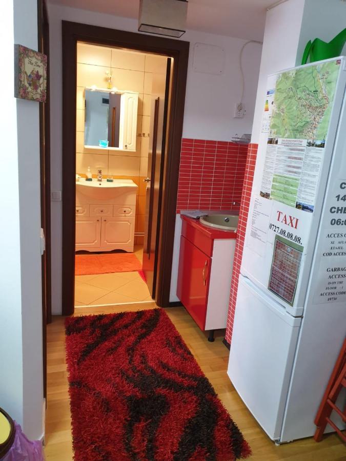 Sophie Apartament Apartman Sinaia Kültér fotó