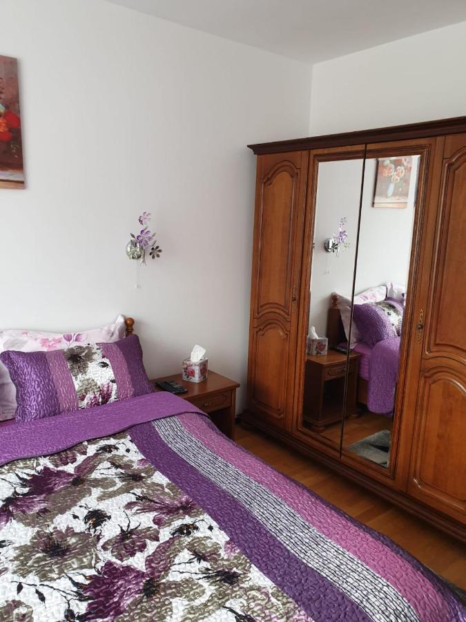 Sophie Apartament Apartman Sinaia Kültér fotó