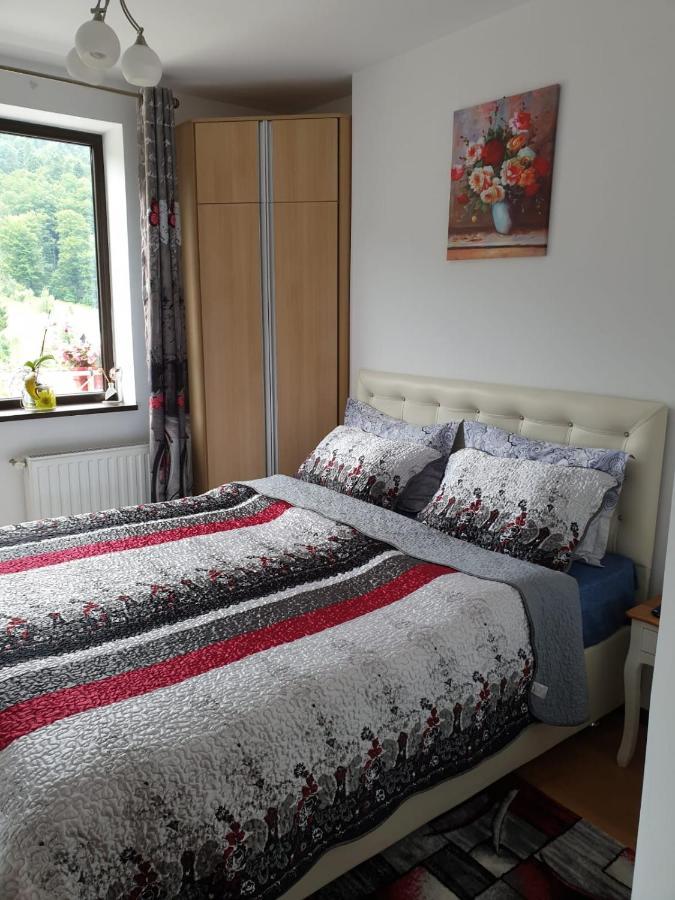 Sophie Apartament Apartman Sinaia Kültér fotó