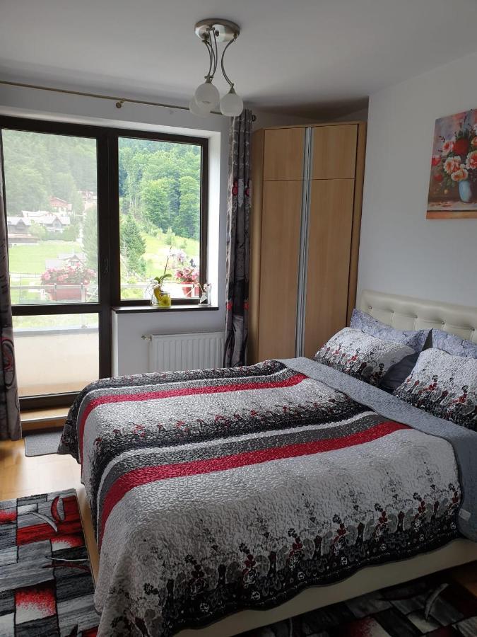 Sophie Apartament Apartman Sinaia Kültér fotó