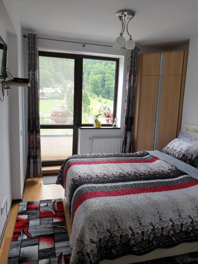Sophie Apartament Apartman Sinaia Kültér fotó