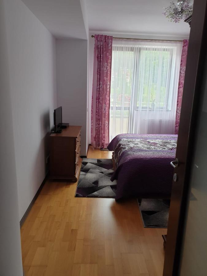 Sophie Apartament Apartman Sinaia Kültér fotó