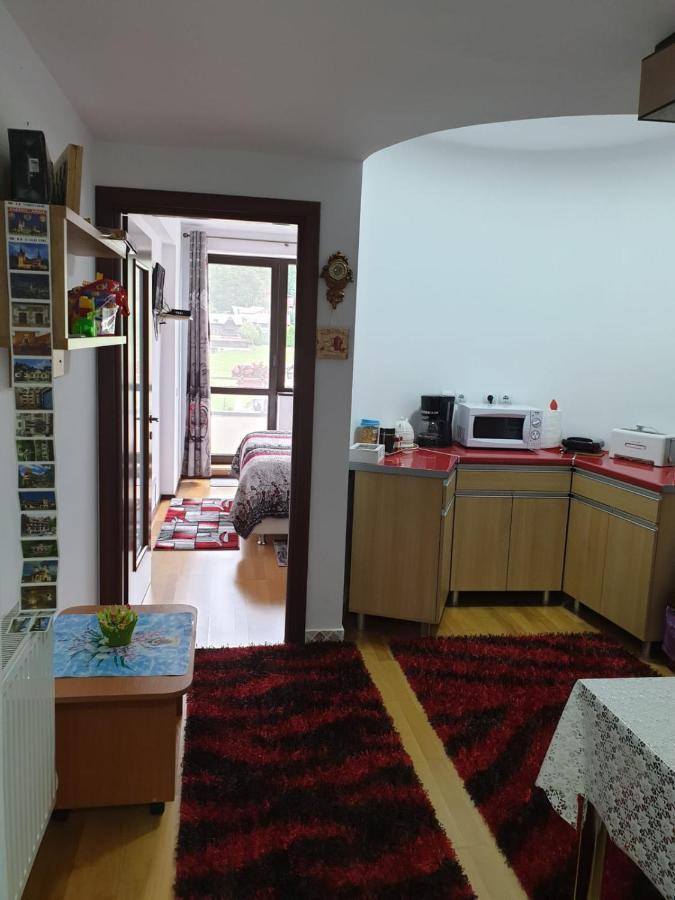 Sophie Apartament Apartman Sinaia Kültér fotó