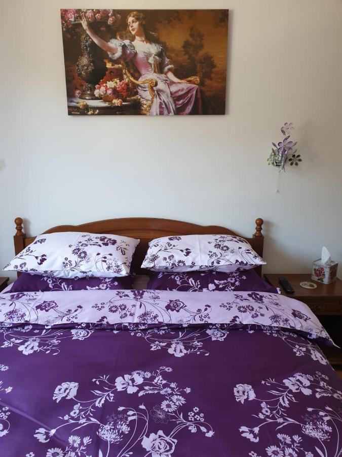 Sophie Apartament Apartman Sinaia Kültér fotó