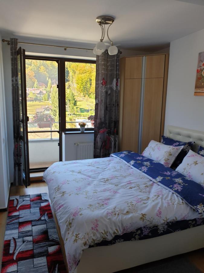 Sophie Apartament Apartman Sinaia Kültér fotó