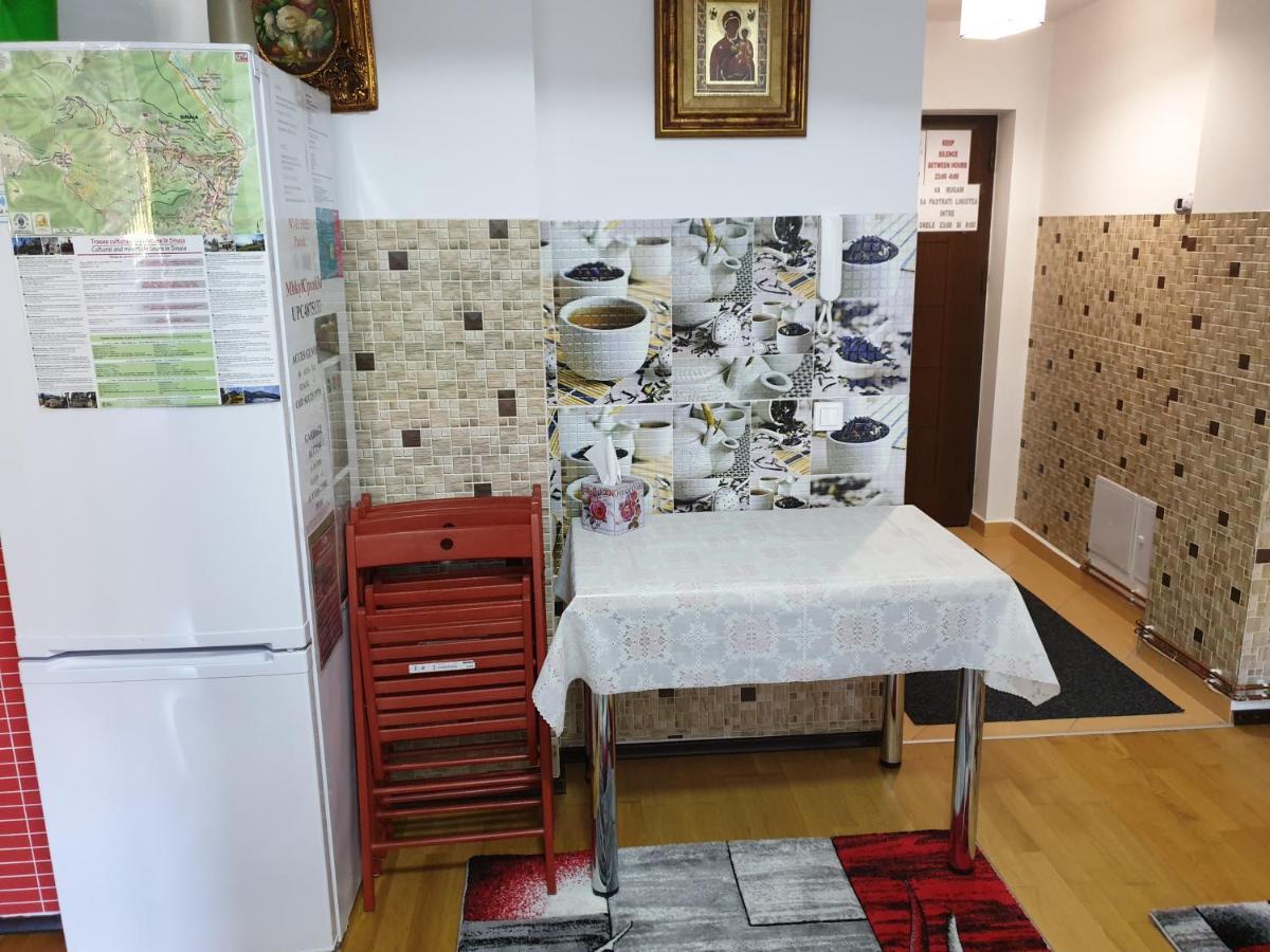 Sophie Apartament Apartman Sinaia Kültér fotó