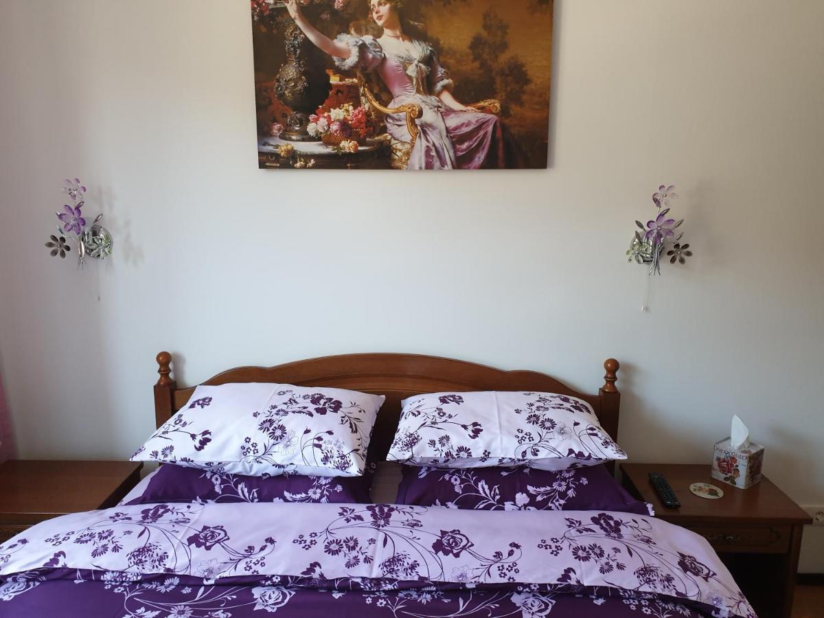 Sophie Apartament Apartman Sinaia Kültér fotó