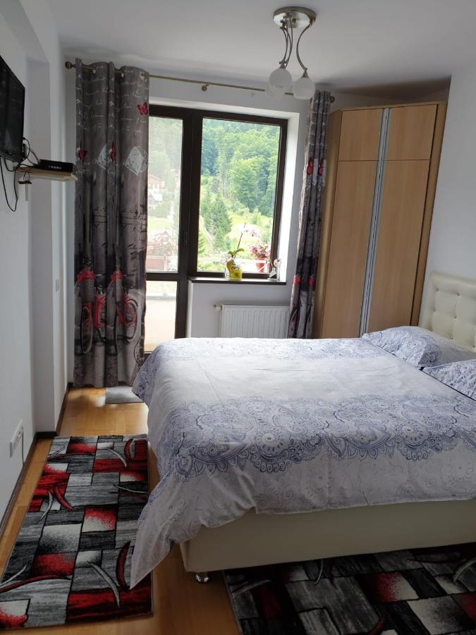 Sophie Apartament Apartman Sinaia Kültér fotó