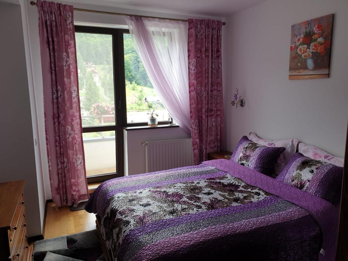 Sophie Apartament Apartman Sinaia Kültér fotó